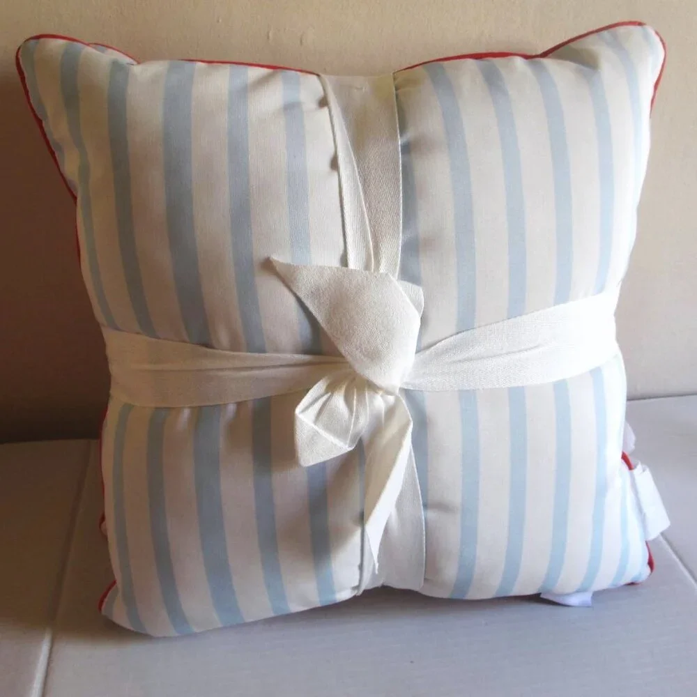 2 x Bouffants And Broken Hearts Pillows Strawberries Blue Stripes Indoor Outdoor